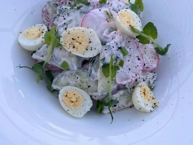 Salad from redish and egg