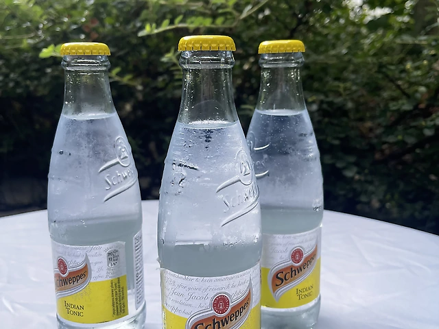 Schweppes (0.33л скло)