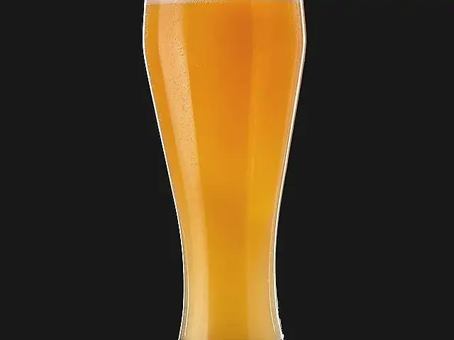 BEERKA Orange Elderberry Wheat