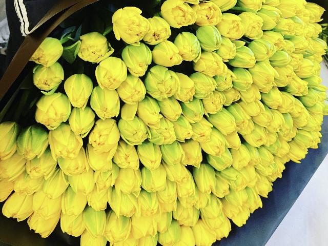 Тюльпаны желтые пионовидные 201шт