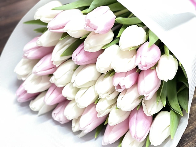 Білі та рожеві тюльпани