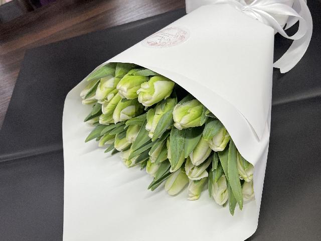 Тюльпаны белый крокодил