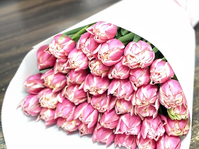 Тюльпани сорту колумбус