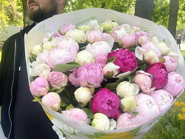 Півонії сортові. Можна зібрати на любу суму
