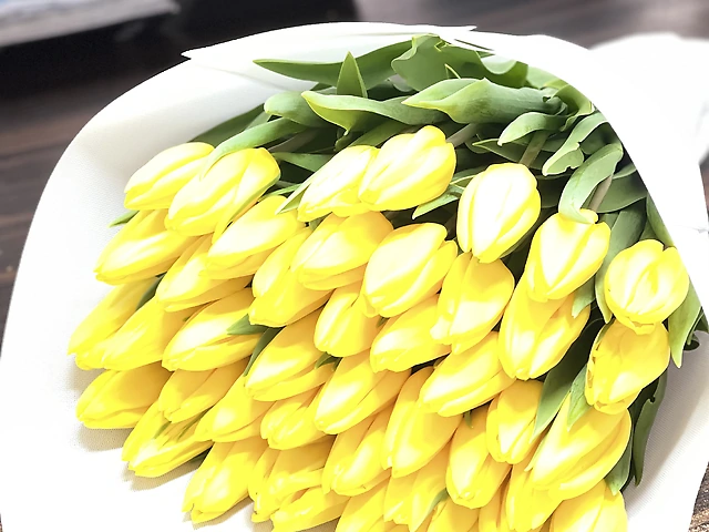 Жовті тюльпани