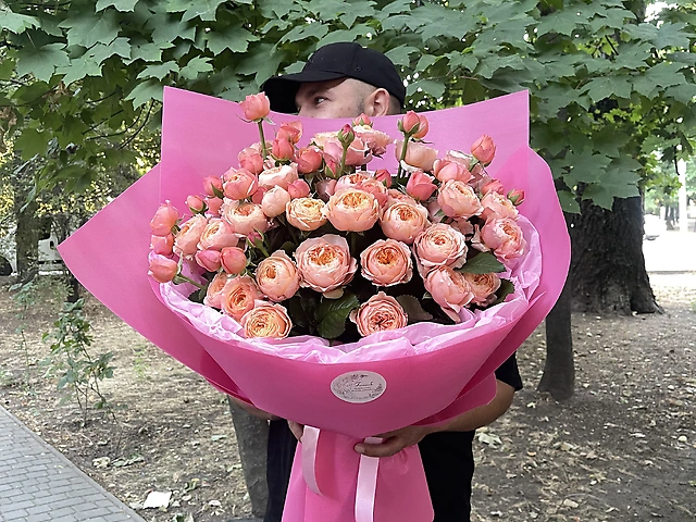 Півонієва троянда
