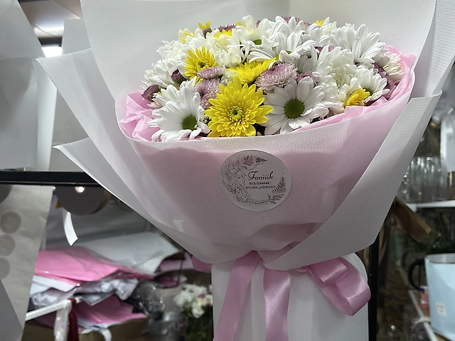 Різноманіття хризантем. 51 гілочка