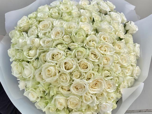 101 біла троянда