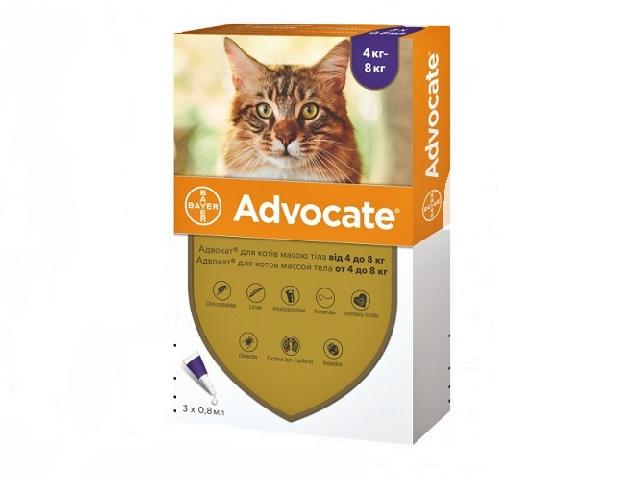 Адвокат, краплі від бліх, гельмінтів і вушного кліща для кішок вагою 4-8кг (Advocate flea and wormer spot on treatment for cats 4-8kg)