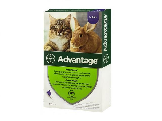 Адвантейдж, краплі від бліх для котів вагою 4-8кг (Advantage spot-on flea prevention for cats 4-8 kg)
