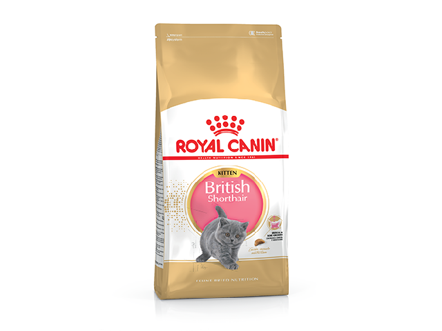 Royal Canin KITTEN BRITISH SHORTHAIR, для британських кошенят