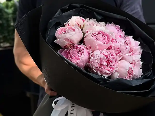 11 Півоній Sara Bernhard