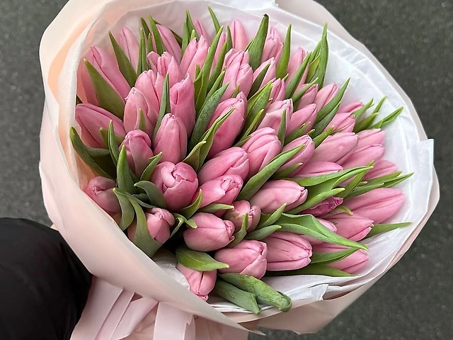 35 рожевих тюльпанів
