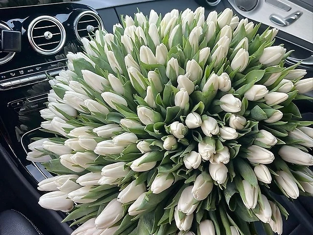 Букет білих тюльпанів 51 шт