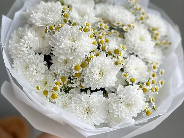 Мікс романтика