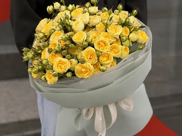 Сонячний промінь