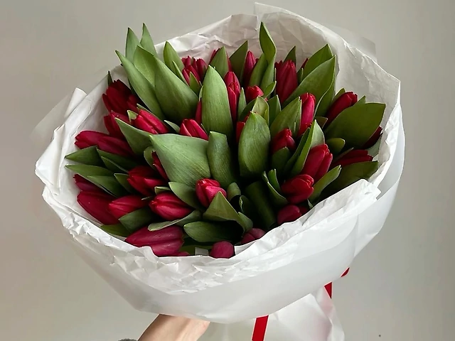 35 червоних тюльпанів