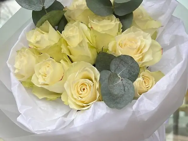 11 білих троянд та евкаліпт