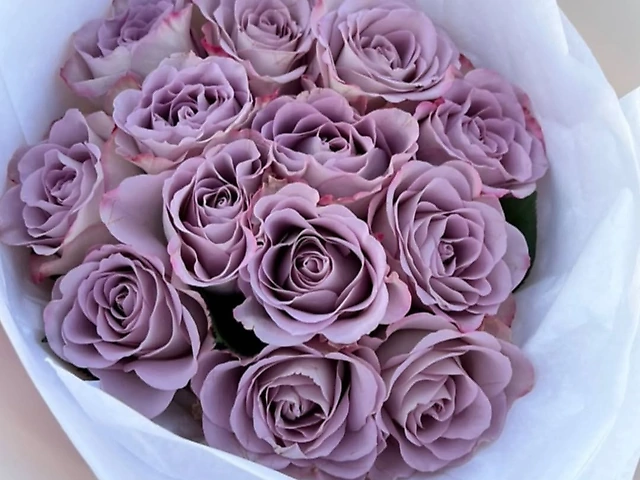 13 троянд memory lane