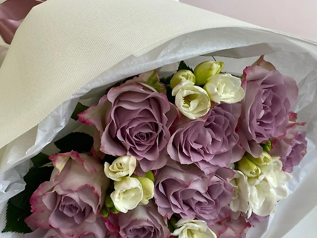 11 memory lane та фрезія