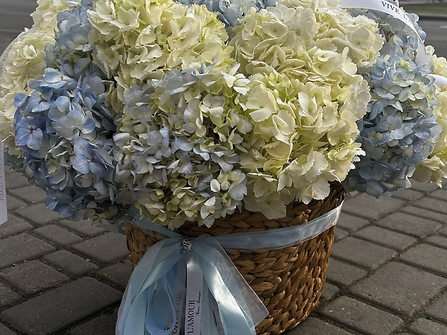 Корзина з блакитними та білими гортензіями