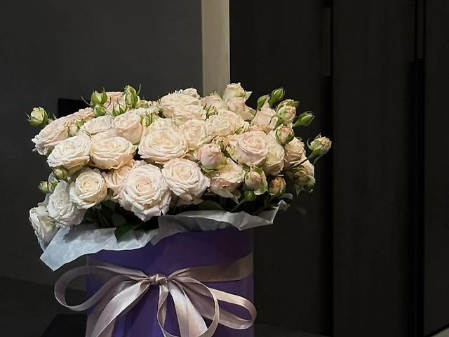 Кущова троянда в коробці