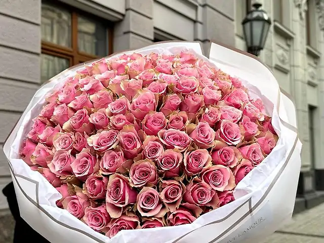 101 рожева троянда