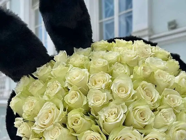 51 біла троянда в м'якому пакуванні