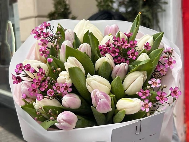 Мікс тюльпанів