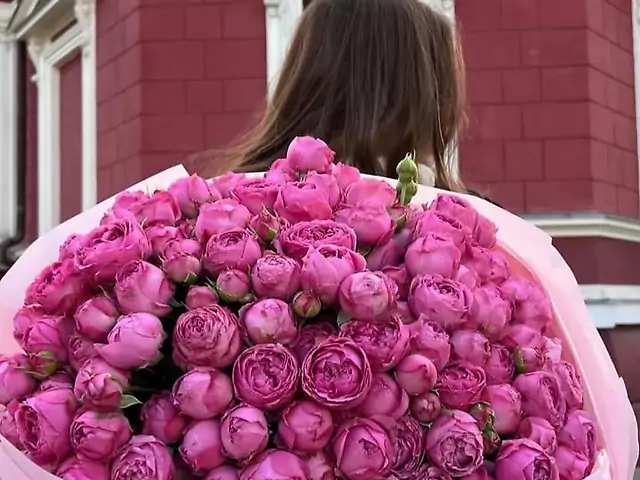 51 піоновидна кущова троянда