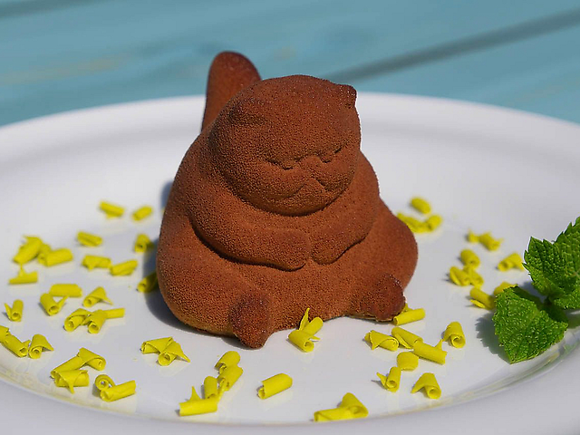 Фисташковый кот Беляшь