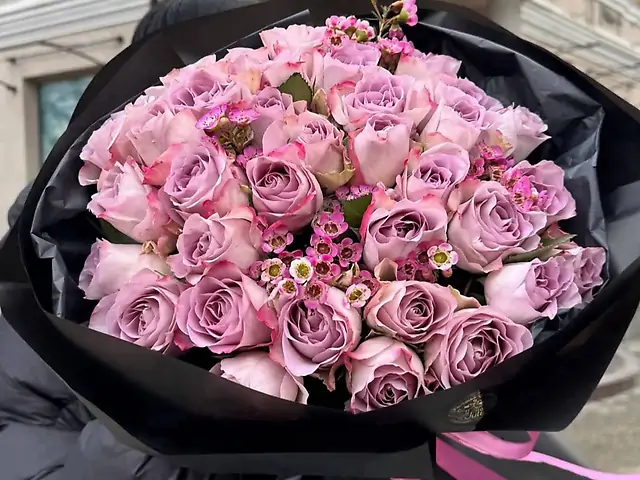 Лавандова троянда з хамілаціумом