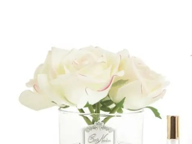Five Rose in White Box - Pink Blush