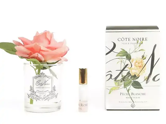 Rose, White Peach in clear glass