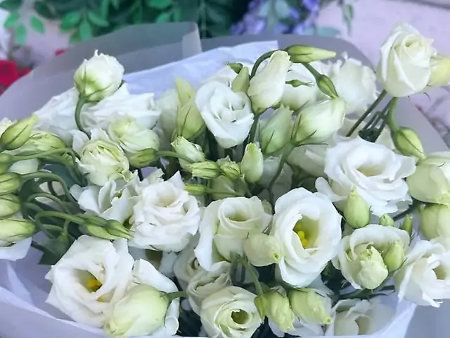 Букет ніжної еустоми