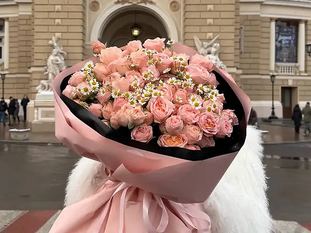 Кущова піоновидна троянда з ромашкою