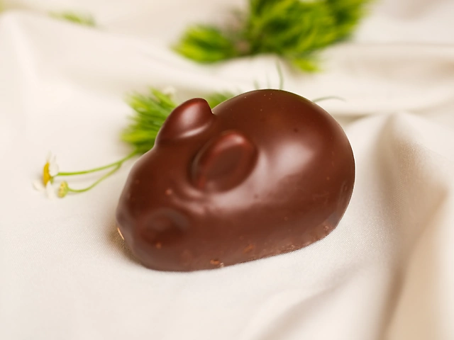 Класичний зайчик