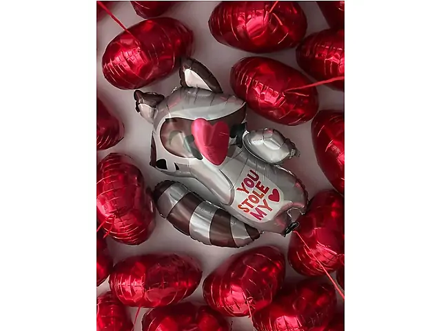 Фігурка єнотика You stole my heart