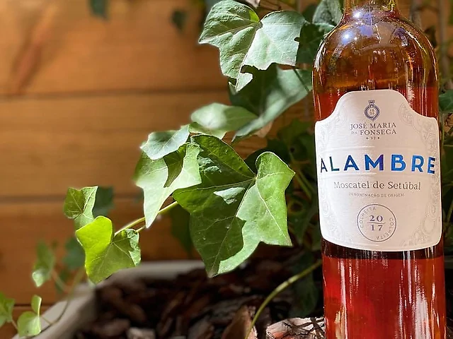 Alambre,Moscatel de Setubal,ПОРТУГАЛІЯ