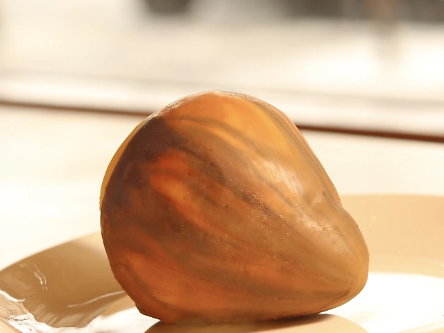 Лісовий горіх