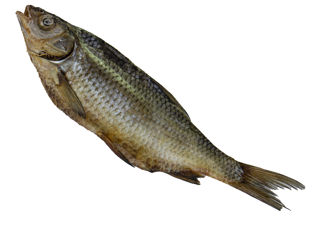 Плотва в&#39;ялена