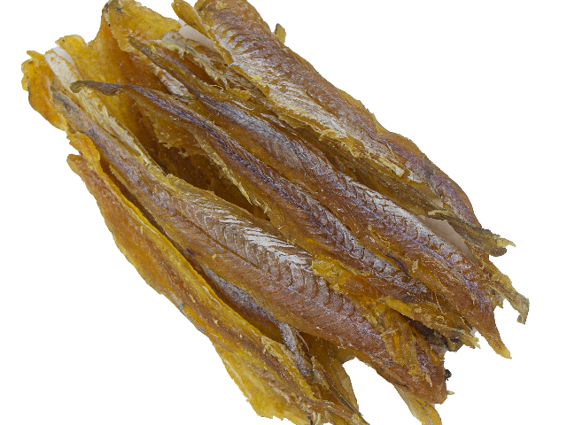 Охотський посол