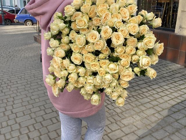 Кустовая Роза Salinero