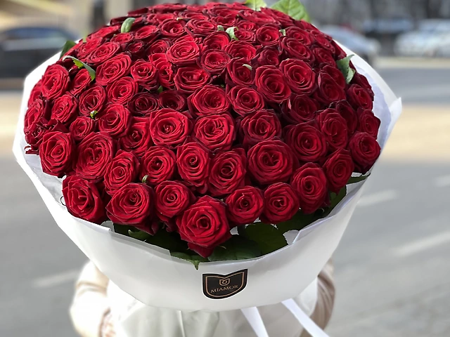 101 Роза метровая