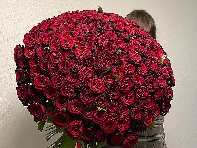 101 метровая роза