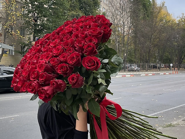 Роза метровая-51 шт