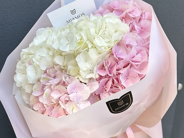 Моно букет гортензия 5 шт