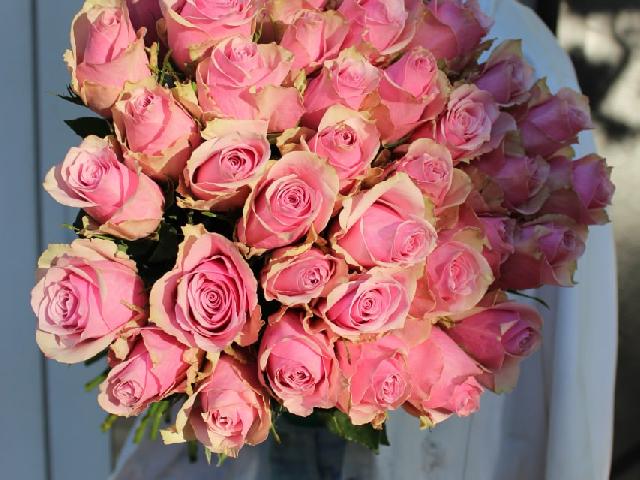 Букет  из розовых роз 15 шт