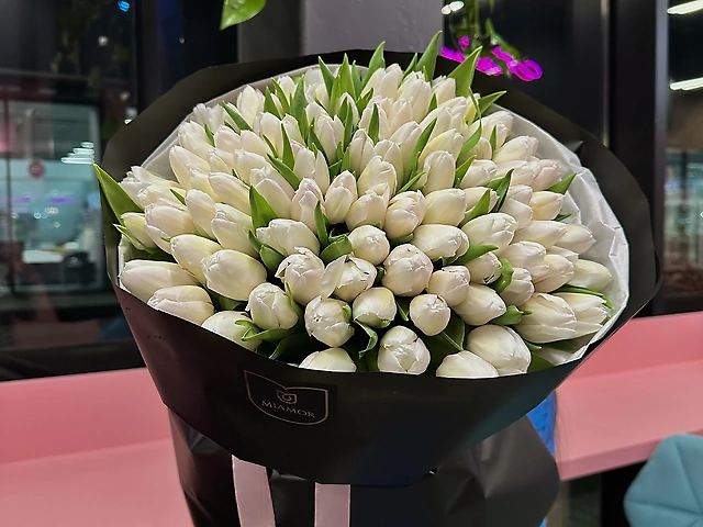 101 Тюльпан Белый