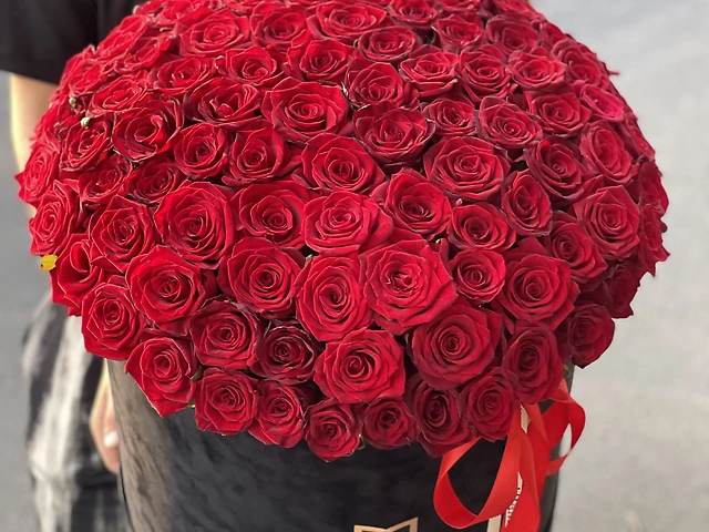 101 красная роза в бархатной  коробке